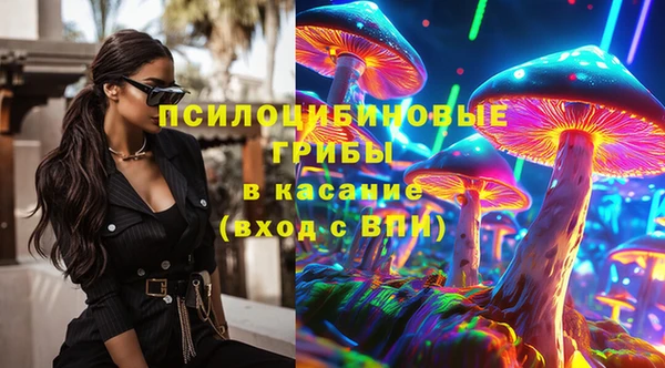 бошки Аркадак