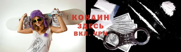бошки Аркадак